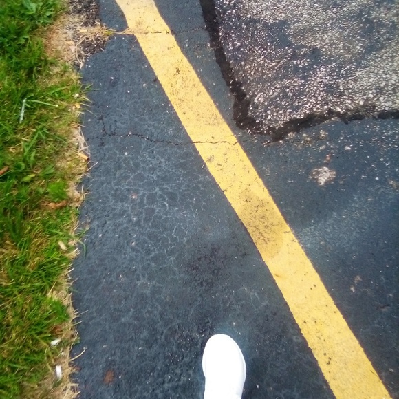 Meet your Posher, Tara - Picture 1 of 1